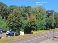 Appartement à vendre 4 pièces SAINT AVOLD (57)