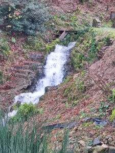 Between Cluny and Charolles, a property complex with 3 gîtes, totaling 190 m², on a 6,000 m² plot.