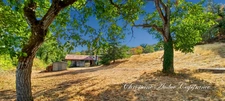 Pressy sous Dondin: Old farmhouse to renovate on a plot of land of 3,500 m²