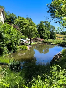 Between Cluny and Charolles, a property complex with 3 gîtes, totaling 190 m², on a 6,000 m² plot.