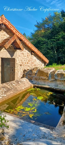 Between Cluny and Charolles, a property complex with 3 gîtes, totaling 190 m², on a 6,000 m² plot.