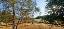 Suin, Ancien corps de ferme en pierre, de 133 m², avec fort potentiel de développement, sur 1 500 m² de terrain