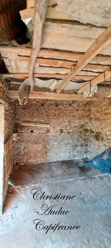 Pressy sous Dondin: Old farmhouse to renovate on a plot of land of 3,500 m²