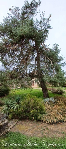 Entre Cluny et Charolles, maison de centre bourg de 180 m² à rénover, sur parcelle de terrain de 508 m²