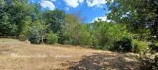 Entre Cluny et Charolles, vaste propriété de 250 m², sur terrain de 2 800   m²