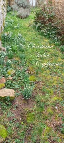 Between Cluny and Charolles, a 144 m² village center house to renovate, on a 257 m² plot of land.