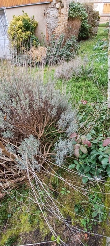 Between Cluny and Charolles, a 144 m² village center house to renovate, on a 257 m² plot of land.