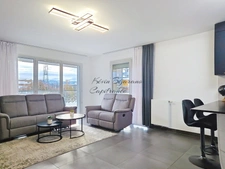 Appartement à louer 3 pièces SAINT GENIS POUILLY (01)