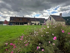 Charming property for sale near Cheverny (41)