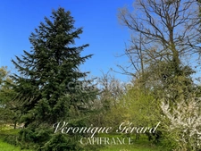 IDEAL INVESTISSEMENT MAISON EN PIERRE SUR environ 1700 M2 DE TERRAIN UB VENTE INTERACTIVE