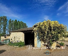 Maison en pierre de 204 M² 3 chambres sur 4984 M² de terrain entièrement clos