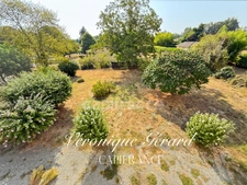 Ancien Presbytère en pierre de 179 M², 8 pièces 