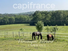 EQUESTRIAN PROPERTY ON MORE THAN 10 HECTARES  