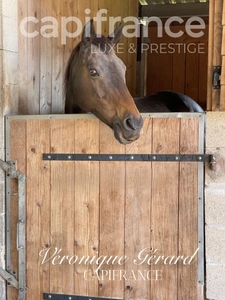 EQUESTRIAN PROPERTY ON MORE THAN 10 HECTARES  