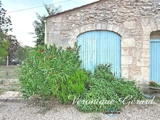 Maison en pierre de 204 M² 3 chambres sur 4984 M² de terrain entièrement clos