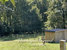 Maison Lumineuse de 140 M² sur  plus de 3000M² de terrain arboré, clos.