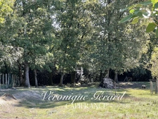 Maison Lumineuse de 140 M² sur  plus de 3000M² de terrain arboré, clos.