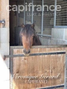 EQUESTRIAN PROPERTY ON MORE THAN 10 HECTARES  