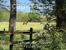 Propriété Equestre de 178 m² avec Longère et Installation Equestre à SALLEBOEUF