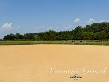 Propriété Equestre avec maison en Pierre de 250 M² avec carrière de 60X40