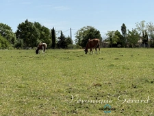 Ancien corps de ferme en pierre du XVIIIe siècle à LAUZUN