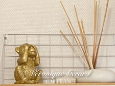 IDEAL Famille ou Investisseurs Maison en Pierre avec cours, jardin et grange