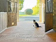 Equestrian property on over 4 hectares with a 133 m² house