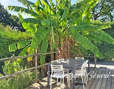 Ensemble immobilier Maison principale de 170 M² et Gîte de 80 M² pour une surface habitable totale de 250 M²