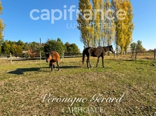 Equestrian property on over 4 hectares with a 133 m² house