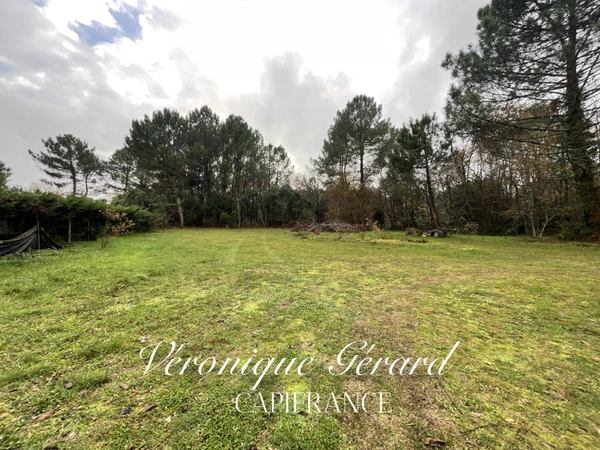 Terrain de plus de 3700 M² à vendre à SAINT SAVIN 