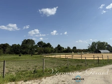 Propriété Equestre avec maison en Pierre de 250 M² avec carrière de 60X40