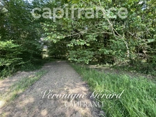 EQUESTRIAN PROPERTY ON MORE THAN 10 HECTARES  