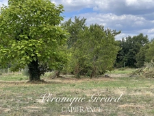 Maison plain-pied de 99 M² sur plus de 6000 M² de terrain