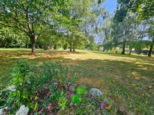Dpt Hautes Pyrénées (65), à vendre MOMERES maison avec chambres d'hôtes P14 de 453 m² - Terrain de 3 744,00 m² 