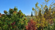 Maison avec studio indépendant et piscine – Cadre exceptionnel – Villeneuve-lès-Avignon