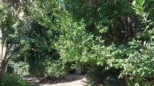 Dpt Vaucluse (84), à vendre AVIGNON maison P6   