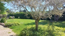 A vendre – Mas Provençal rénové, 4 chambres, avec pisicine et garage