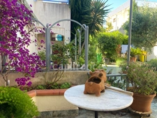 Avignon House + 2-room apartment + Workshop + Garage + Garden
