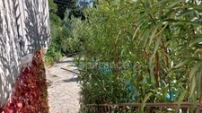 Maison avec studio indépendant et piscine – Cadre exceptionnel – Villeneuve-lès-Avignon