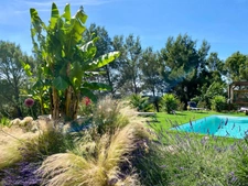 Family home of 175 m² with swimming pool – Basement of 150 m² – Land of 5000 m² – Near Avignon and Saint-Rémy-de-Provence
