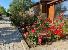 Domaine  à vendre 22 pièces  