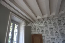 Rare, characterful 14-room house near EPERNAY (51)