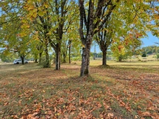 à vendre LIMEYRAT – Maison T4 sur terrain clos et arboré de 3 250 m²/kota finlandais en bois 