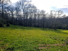 Dpt Pyrénées Atlantiques (64), à vendre BUROS terrain 