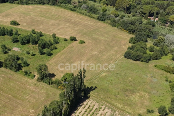 Parcelle agricole 9 300 m² - SOMMIERES (GARD)