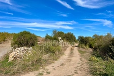 Agricultural plot AE, small stone cottage to be completely rebuilt