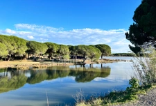 Appartement à vendre 5 pièces LA GRANDE MOTTE (34)