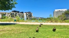 Hérault department (34), for sale in Montpellier, 2-room apartment   