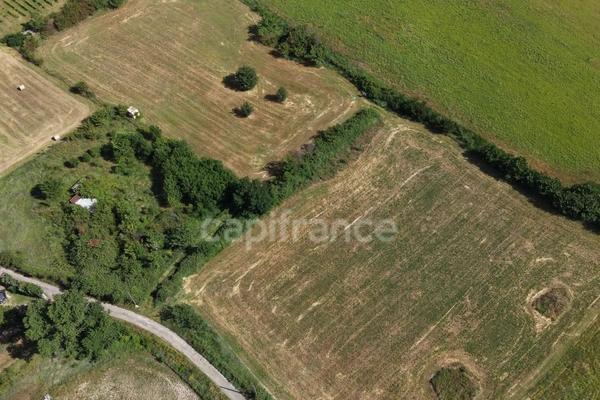 Parcelles agricoles 12 000 m² - JUNAS (GARD)