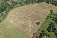 Parcelle agricole 6 400 m² - SOMMIERES (GARD)